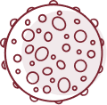 Lysosome icon